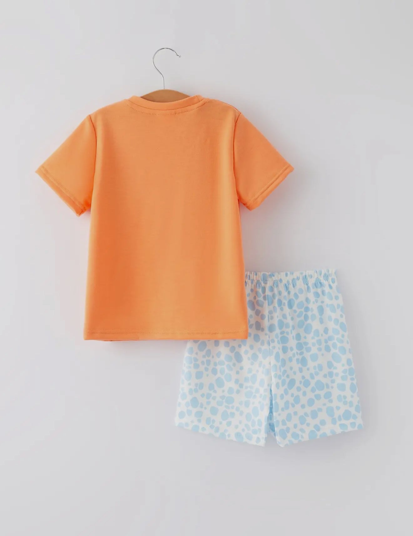 Bunny Carrot Embroidery Boys Set
