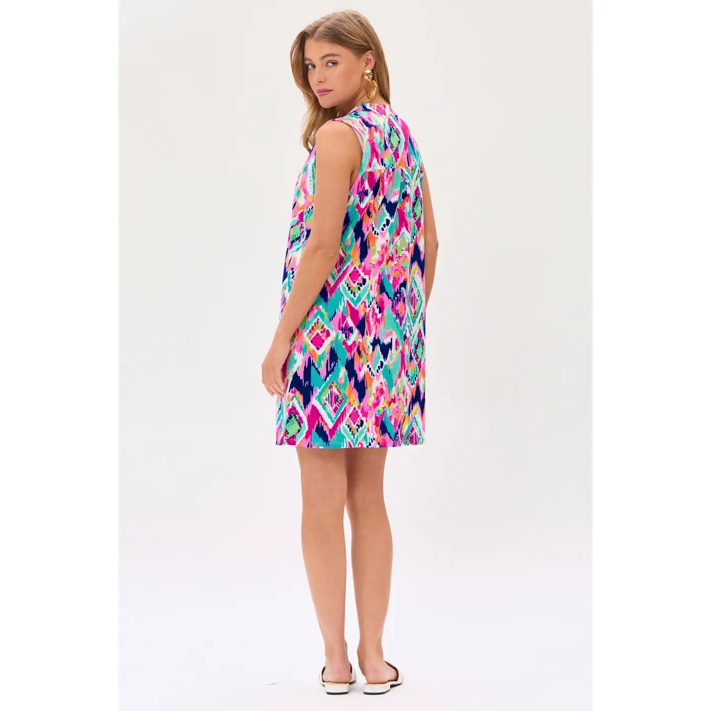 Wrinkle Free Lizzy Sleeveless Dress