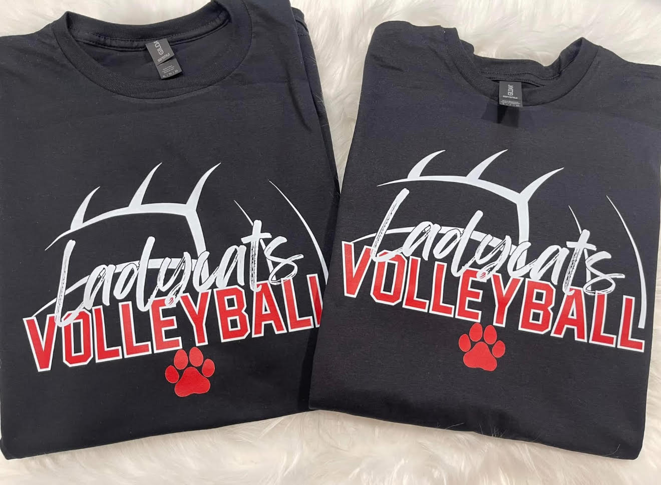 Ladycats Volleyball